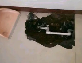 南充卫生间测漏水多少钱